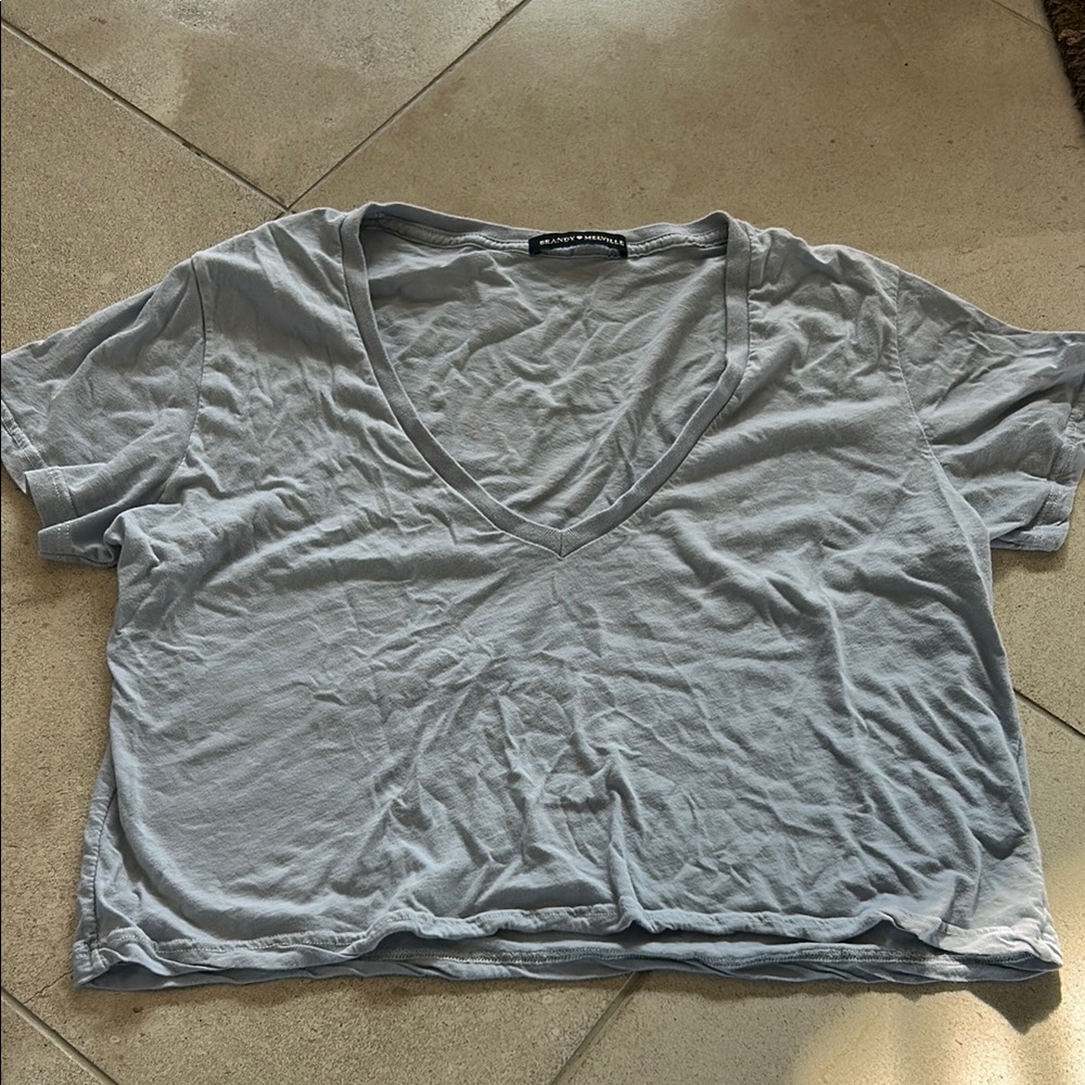 Brandy Melville Blue Crop Relaxed Short Sleeve Tee